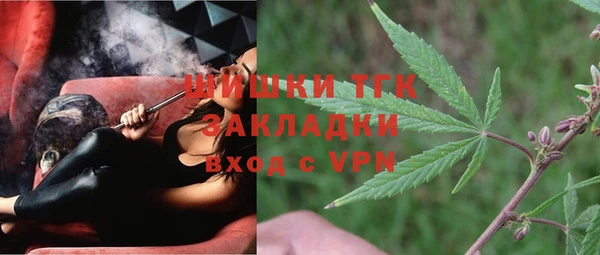 spice Михайлов