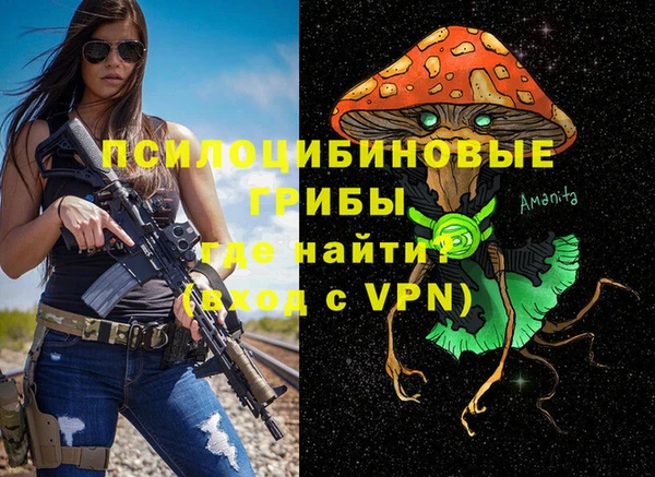 mdpv Михайловск