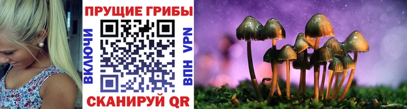 Галлюциногенные грибы мицелий Цоци-Юрт
